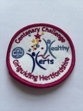 Girl guide badge. for sale  BLYTH