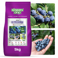bilberry usato  Roma