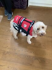 Ezydog life jacket for sale  BRISTOL