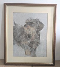 Border terrier sam for sale  DUDLEY