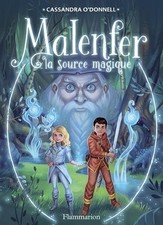 Malenfer. vol. source d'occasion  Corbeil-Essonnes