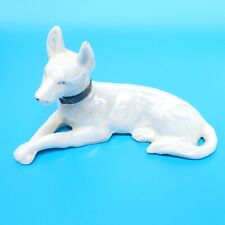 Vintage white doberman for sale  Knoxville