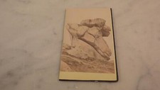 1870.rocher belier.ploumanach  d'occasion  Expédié en Belgium