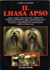 Lhasa apso camille usato  Priolo Gargallo