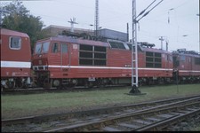 Riginaldia 180 017 gebraucht kaufen  Drensteinfurt