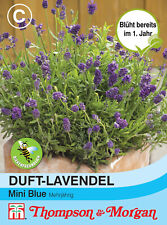 Duft lavendel mini gebraucht kaufen  Wuppertal