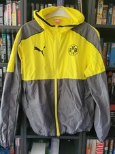 Bvb borussia dortmund gebraucht kaufen  Lindlar