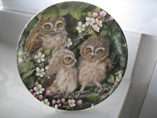 Wedgwood collectors plate for sale  WILMSLOW