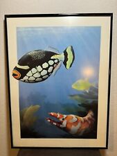 Clown trigger fish for sale  Braselton