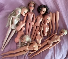 Pedigree sindy doll for sale  MANCHESTER
