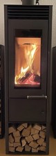 Fen kaminofen austroflamm gebraucht kaufen  Schwanewede