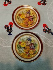Coppia piattini terracotta usato  Albano Laziale