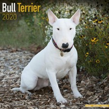 Calendrier 2020 bull d'occasion  Troyes