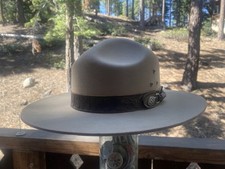 Usnps stratton smokey for sale  Incline Village