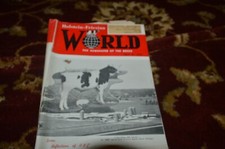 Holstein friesian april for sale  Berlin