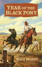 Year black pony for sale  Arlington