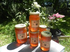 miel chataignier d'occasion  Pleumeur-Bodou