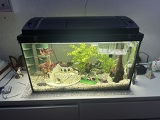 Aquarium 60l 60x30x30cm gebraucht kaufen  Ludwigsburg