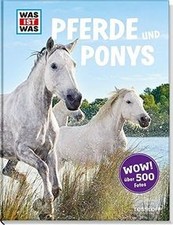 Pferde ponys 500 gebraucht kaufen Pferde ponys 500 gebraucht kaufen  Berlin