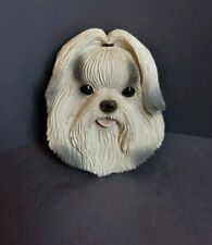 Shi tzu cute for sale  Phoenix