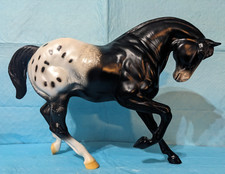 black quarter horse for sale black quarter horse for sale Spring Hill