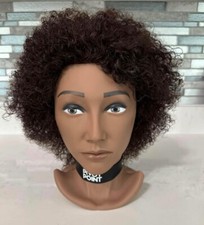 Cosmetology mannequin head for sale  Northampton