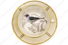 Tasse thé astrild d'occasion  Randan