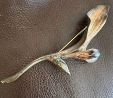 Michael michaud calla for sale  East Providence