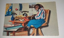 Alte vermenschlichter schimpan gebraucht kaufen  Haßmersheim