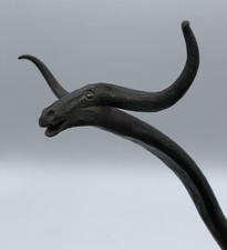 Texas long horn for sale  San Antonio