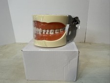 Modelo de dentes Typodont - Modelo de prática odontológica saudável com dentes removíveis *LEIA comprar usado  Enviando para Brazil