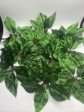 Large green poinsettia for sale  Pleasant Garden