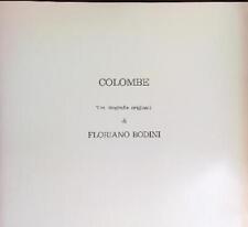 Colombe esemplare bodini usato  Italia