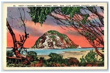 Cartão postal c1940s Morro Rock Morro Bay San Luis Obispo County Califórnia CA Trees, usado comprar usado Cartão postal c1940s Morro Rock Morro Bay San Luis Obispo County Califórnia CA Trees, usado comprar usado  Enviando para Brazil