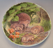 Wedgwood prickly problem for sale  EASTBOURNE