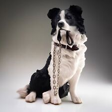 Leonardo border collie d'occasion  Expédié en Belgium