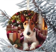 Fox terrier cane usato Fox terrier cane usato  Spedire a Italy