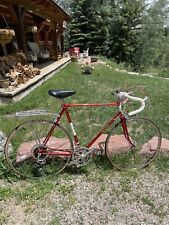 1970 raleigh sun for sale  Edwards