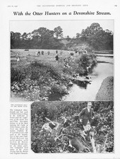 Stoke canon devon for sale  GLASGOW