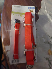 Laisse chien collier d'occasion  Mainvilliers