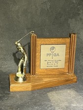 Vintage ppga open for sale  Kokomo