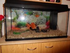 Aquarium juwel primo gebraucht kaufen  Crottendorf, Walthersdorf