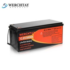 Lithium batterie 12v gebraucht kaufen  Euskirchen