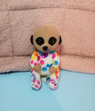 International baby meerkat for sale  DONCASTER