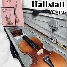 Hallstatt violino 4 usato  Spedire a Italy