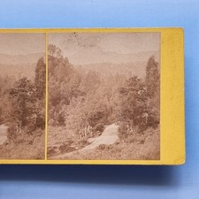 Stereoview card real usato  Spedire a Italy