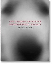 Golden retriever photographic for sale  Philadelphia