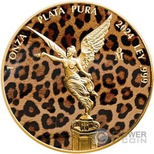 Wild libertad leopard usato  Ciampino