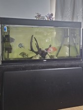 juwel rio 400 for sale juwel rio 400 for sale LONDON