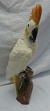 7613 schöner kakadu gebraucht kaufen  Hamburg